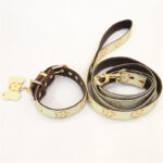 Luis Pawtton Bichon Collar And Leash Set - Image 13