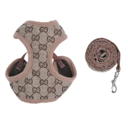 Luxury Dog Walking Set