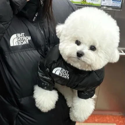 The Dog Face Jacket