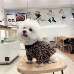Frendi Bichon Sweater - Image 4