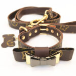 Luis Pawtton Bichon Collar And Leash Set - Image 12