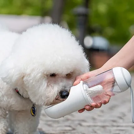 Bichon Water Bottle