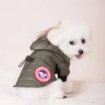 Bichon Frost Jacket - Image 5