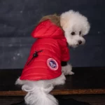 Bichon Frost Jacket - Image 8