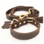 Luis Pawtton Bichon Collar And Leash Set - Image 10