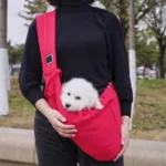 Bichon Travel Carrier