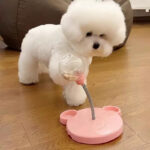 Treats Bichon Toy