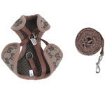 Pawcci Designer Dog Harness And Leash Set - Image 6