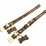 Luis Pawtton Bichon Collar And Leash Set - Image 11