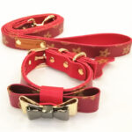 Luis Pawtton Bichon Collar And Leash Set - Image 9