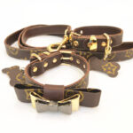 designer dog collars