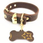 Luis Pawtton Bichon Collar And Leash Set - Image 7