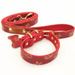 Luis Pawtton Bichon Collar And Leash Set - Image 5