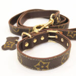 designer dog collars