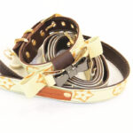 Luis Pawtton Bichon Collar And Leash Set - Image 3