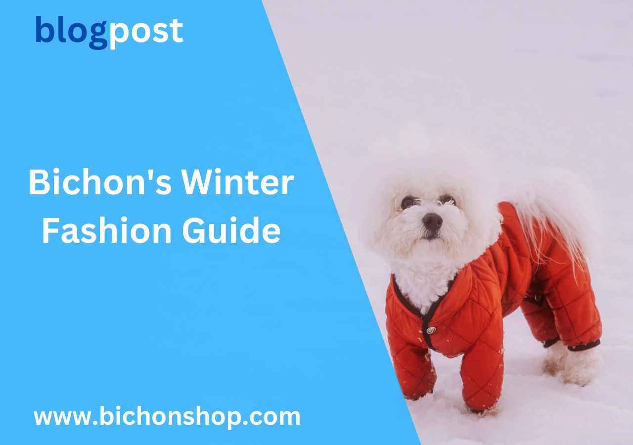 Bichon Winter Wear