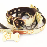 Luis Pawtton Bichon Collar And Leash Set - Image 2