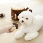 toy bichon frise bichon shop Bichon Pine Play Puzzle