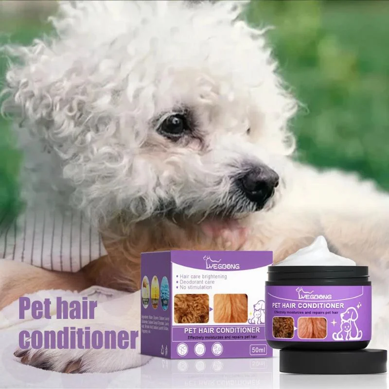 How to keep a Bichon Frise's coat white? 10 image 1