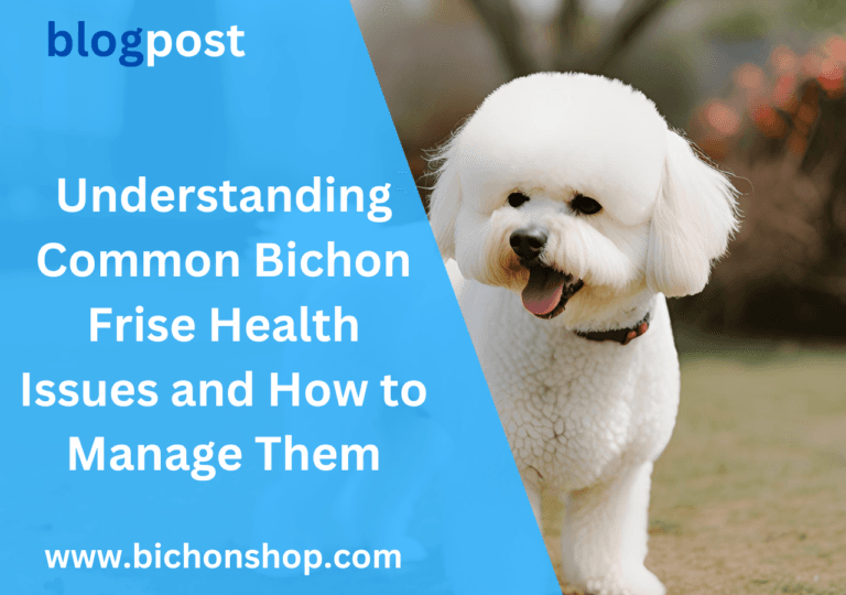 Understanding Common Bichon Frise Health Issues and How to Manage Them