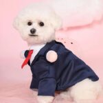Bichon Frise Wedding Tuxedo Bichon Shop Bichon Frise