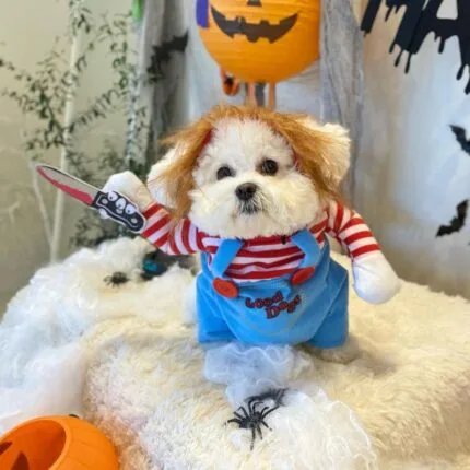 Chucky Bichon Frise Costume bichon frise shop