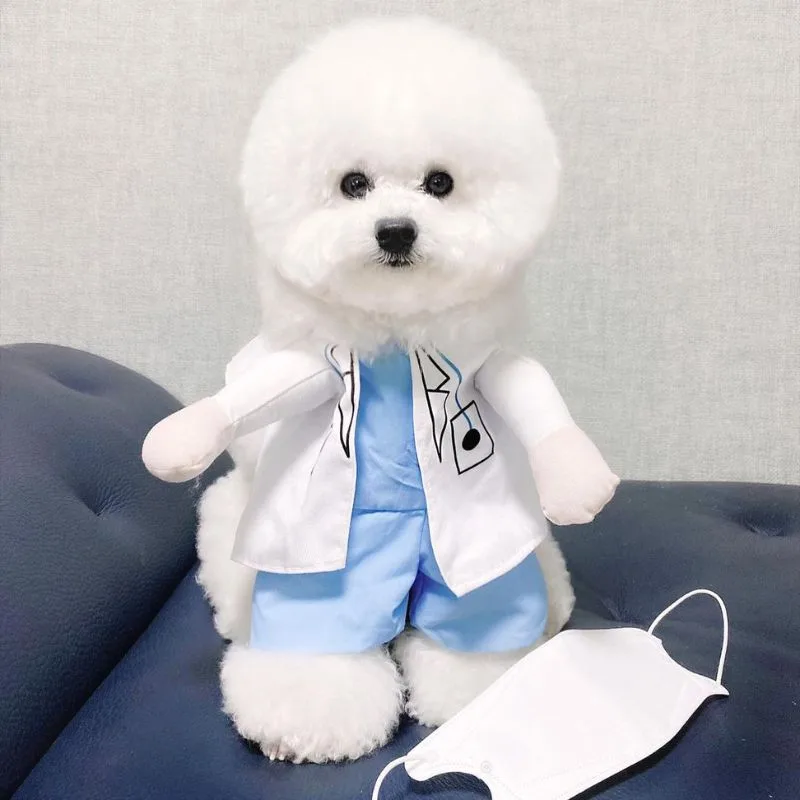 HealthService Bichon Frise Costume - Image 1