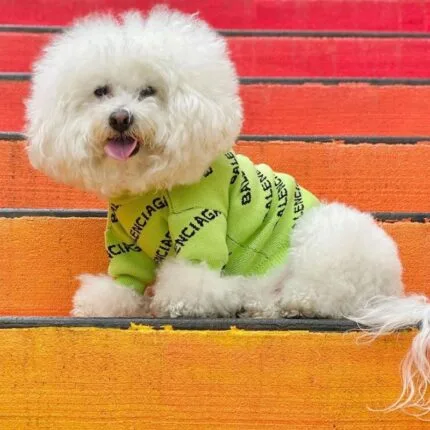 Pawlenciaga Bichon Frise Sweater Bichon Frise Shop