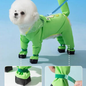 bichon frise coat bichon frise shop 1