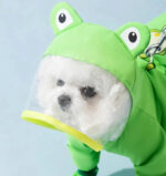 Bichon Frise All-Weather Freedom Coat Bichon Frise Coat