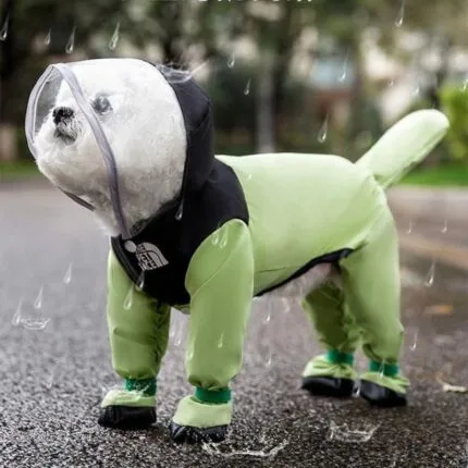 Bichon Raincoat Bichon Frise Shop Bichon Frise Raincoat