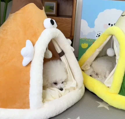 Cozy Bichon Frise Tent Bichon Frise Shop
