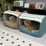 Cozy Bichon Frise House Bichon Frise Shop