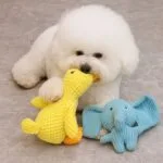 Bichon Plush Buddies – Elephant & Duck squeaky toys for small dogs. Soft, safe, and fun plush toys made for chewing, cuddling, and play.