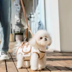 Bichon Carry Bag - Image 2