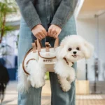 Bichon Carry Bag - Image 4