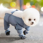 Bichon Frise Pants – Waterproof Dog Jumpsuit for Outdoor Adventures
