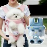 Cartoon Bichon Frise Front Carrier Backpack