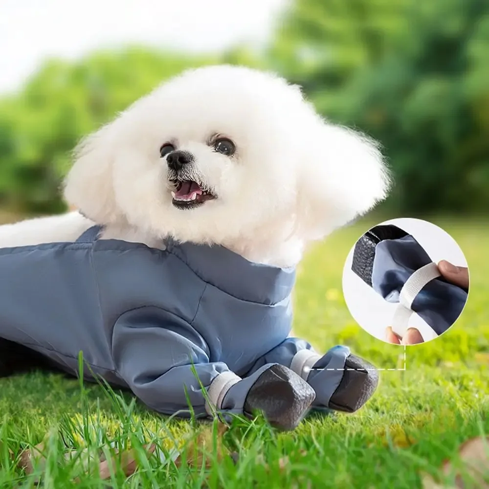 Bichon Frise Pants - Image 6