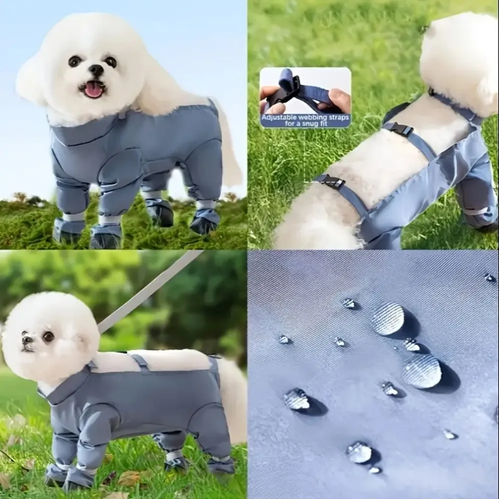Bichon Frise Pants - Image 2