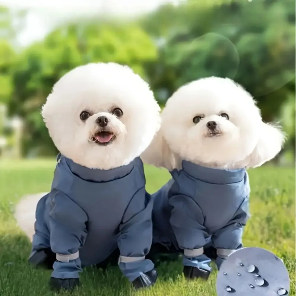 Bichon Frise Pants - Image 3