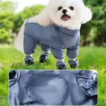 Bichon Frise Pants - Image 4