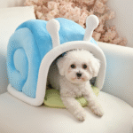 Snail Bichon House