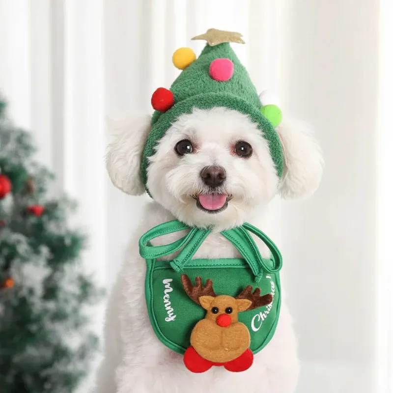 Bichon Frise Christmas Hat + Scraf - Image 3