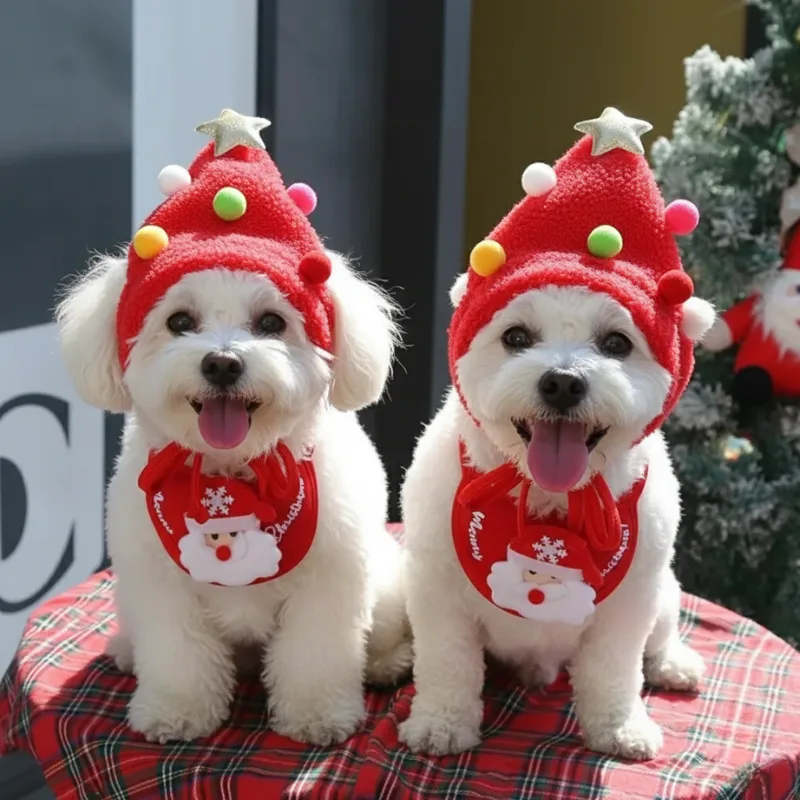 Bichon Frise Christmas Hat + Scraf - Image 1