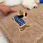 New Cozy Bichon Frise Bed - Image 2