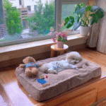 New Cozy Bichon Frise Bed - Image 3