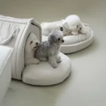 Snuggle House for Bichon Frise - Image 2