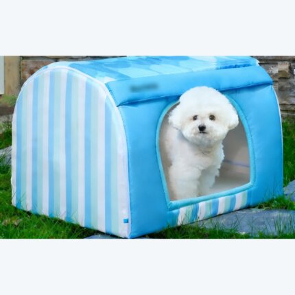 White Bichon Frise relaxing in a blue striped cooling pet house
