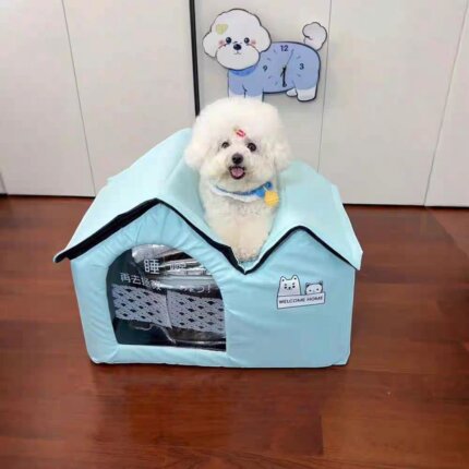 White Bichon Frise on top of a light blue cooling dog house